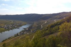 IMAG0985