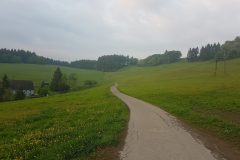 village06
