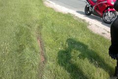 2012-07-27-102
